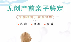 在[湖州]刚怀孕怎么做亲子鉴定，湖州怀孕亲子鉴定大概需要多少钱
